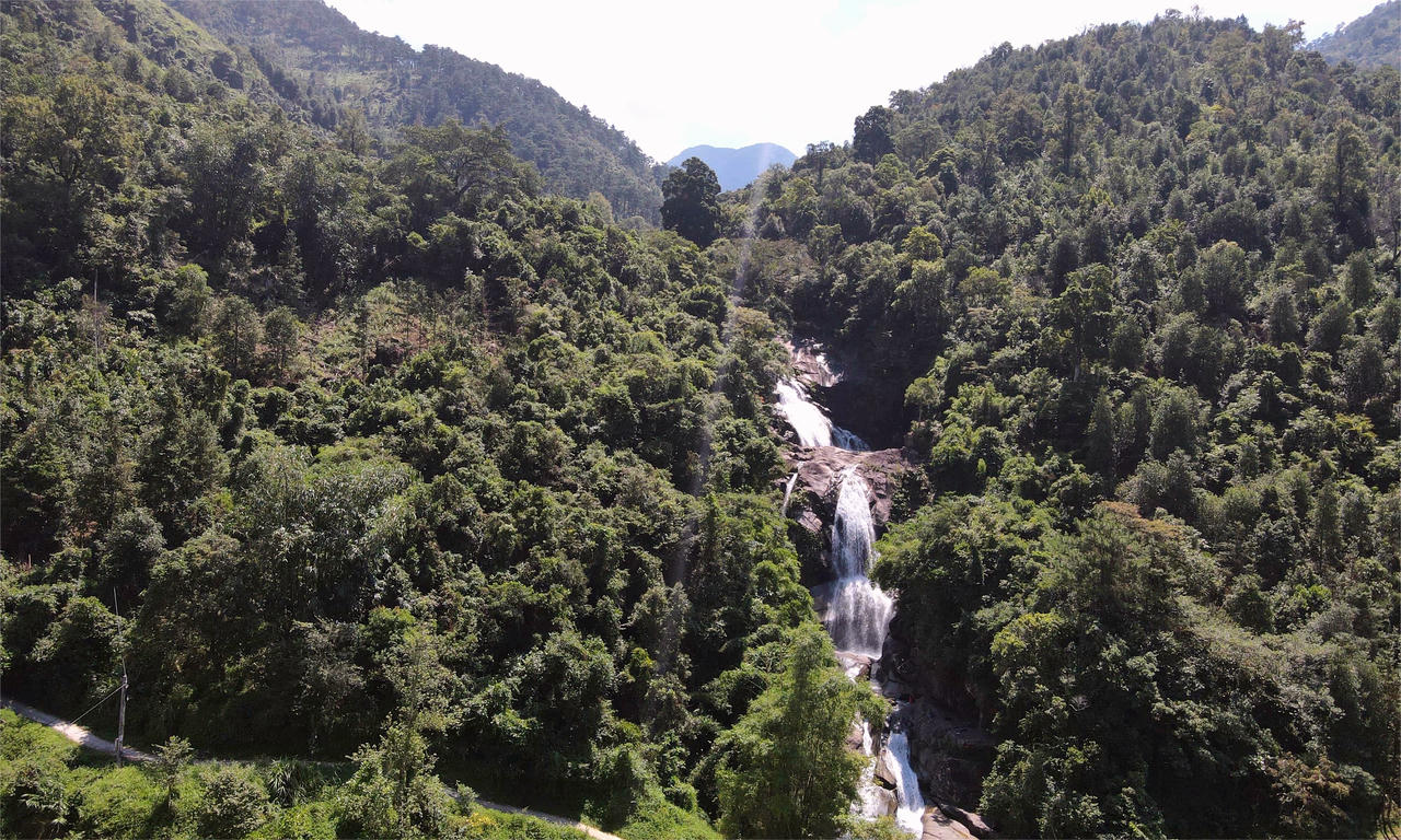 Tăng cường trồng rừng, bảo vệ rừng, đặc biệt là rừng ngập mặn và rừng gỗ lớn. 