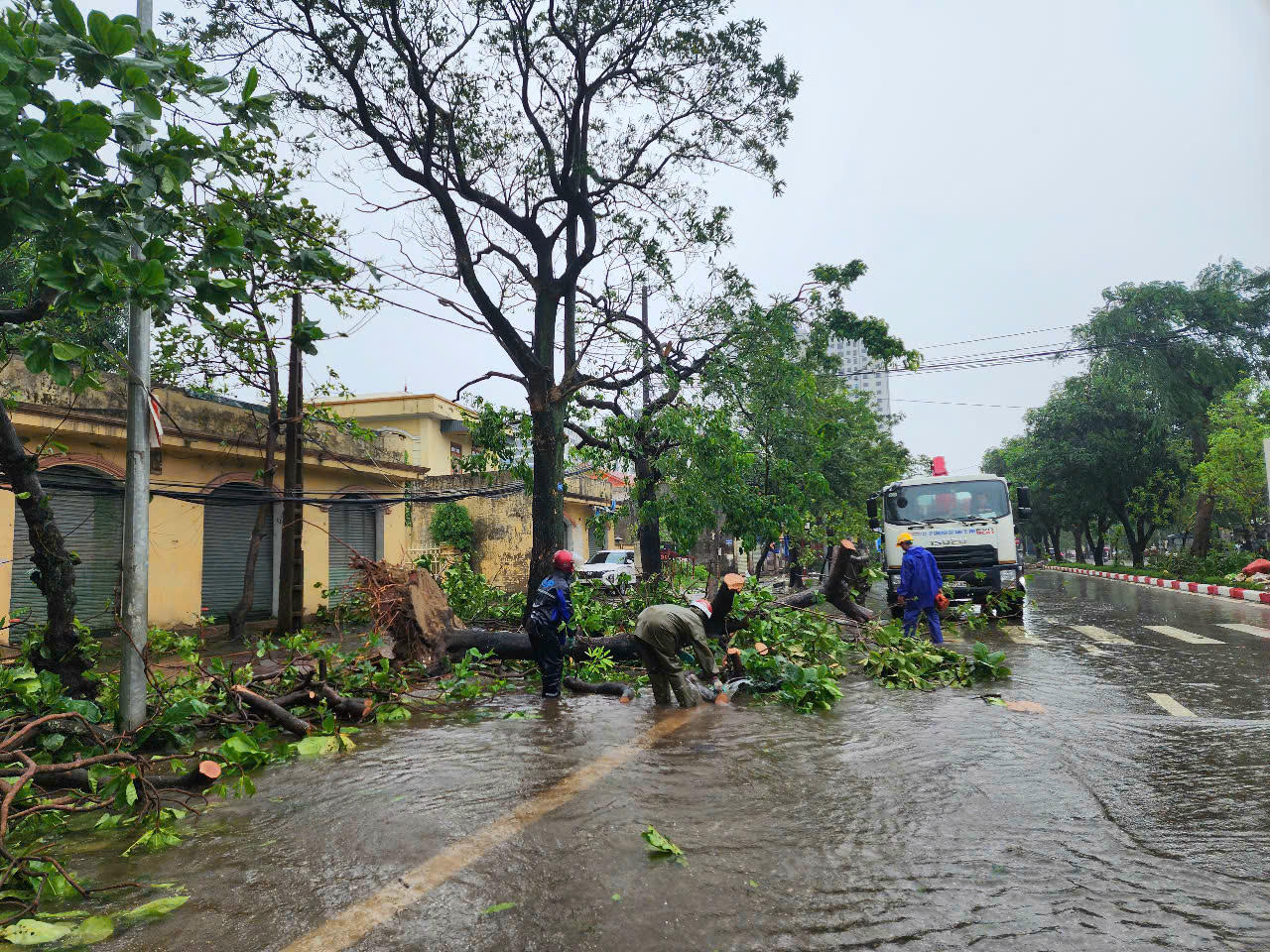Lực lượng cây xanh đã tiến hành cắt tỉa cây đổ gãy.
