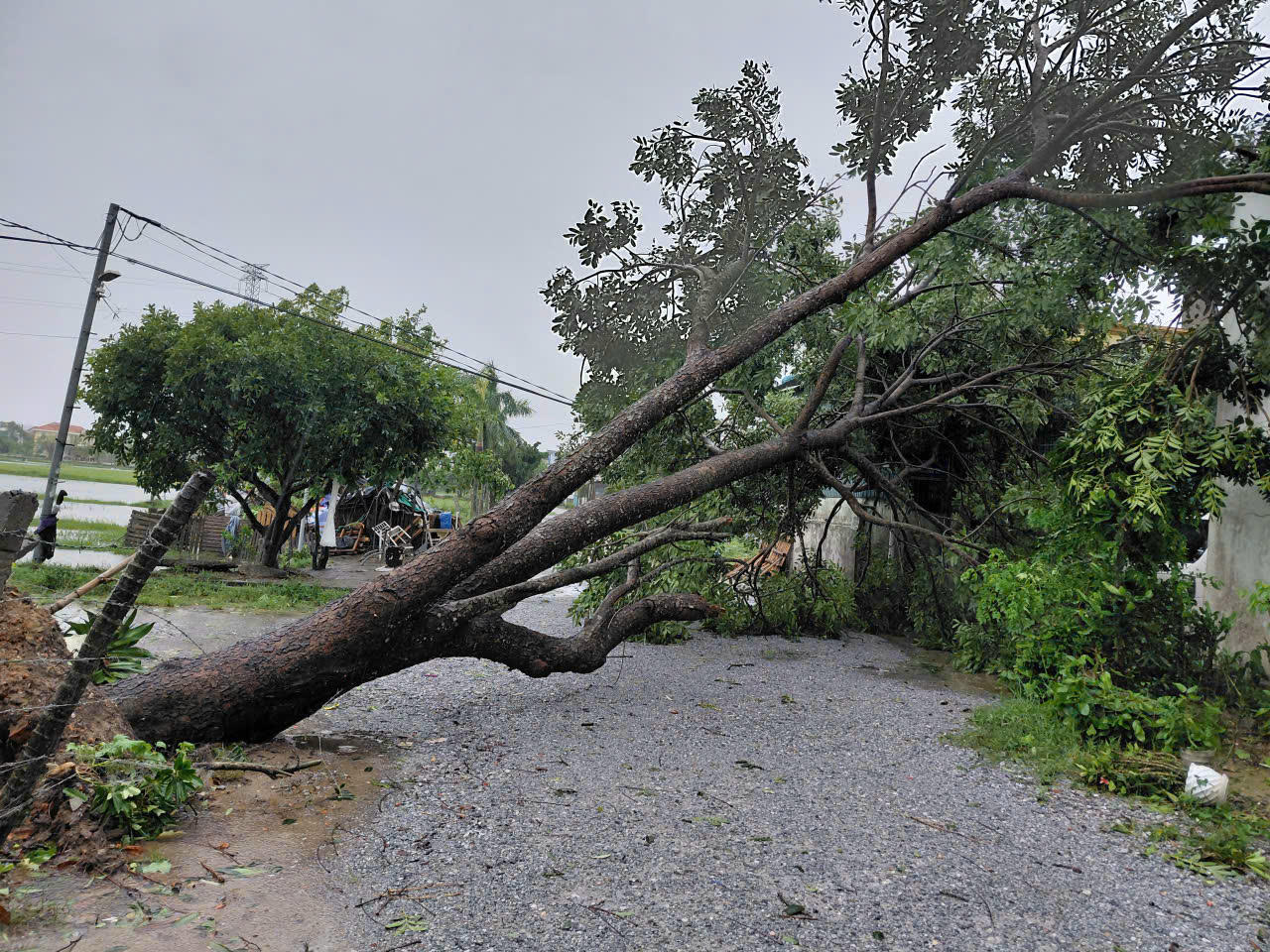 Quảng Trị: 12 người mất tích, nhiều thiệt hại nặng nề do bão số 10
