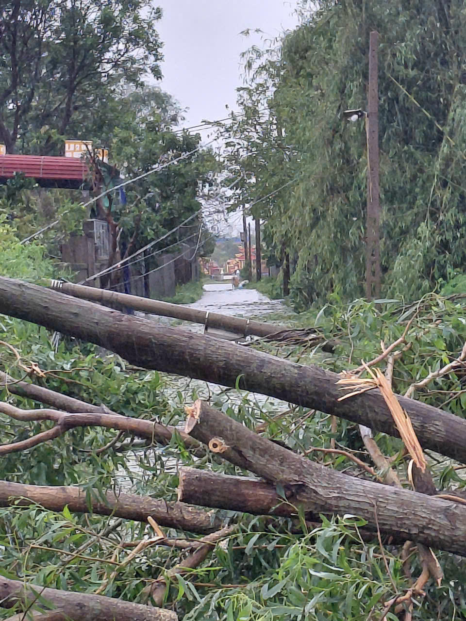Quảng Trị: 12 người mất tích, nhiều thiệt hại nặng nề do bão số 10