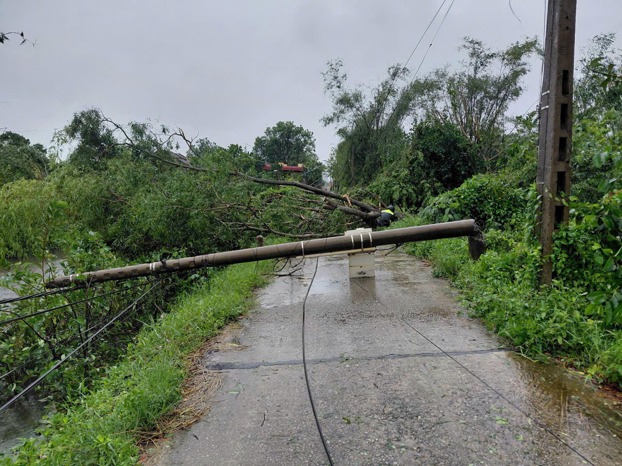 Cột điện gãy đổ chắn ngang đường.