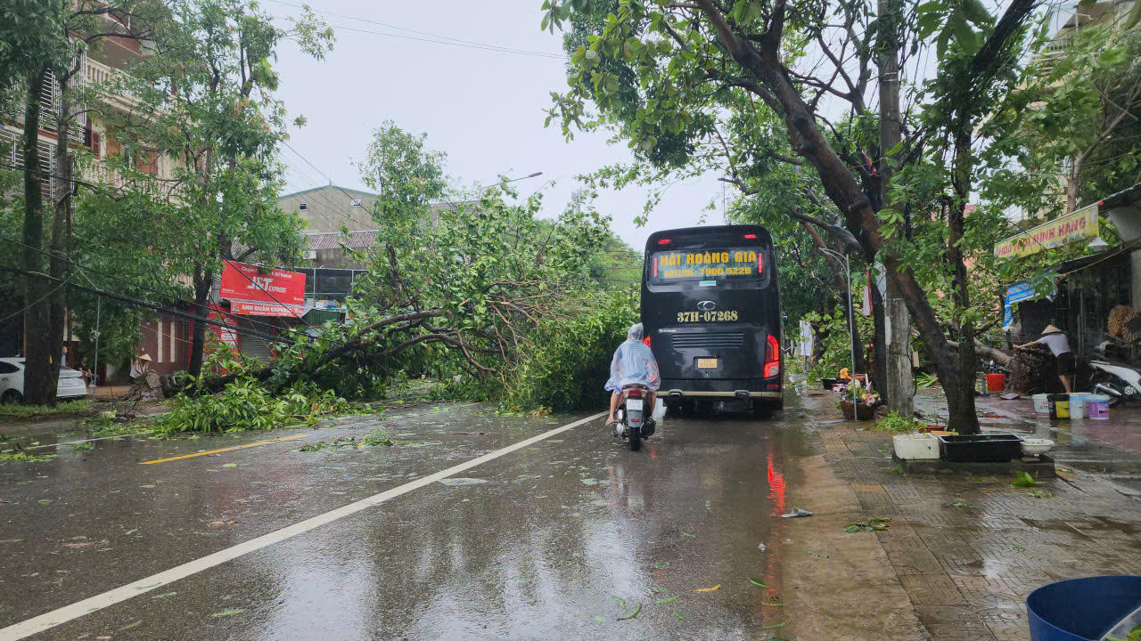 Cây trên đường Trần Hưng Đạo đổ hàng loạt hai bên khiến xe cộ đi lại rất khó khăn..