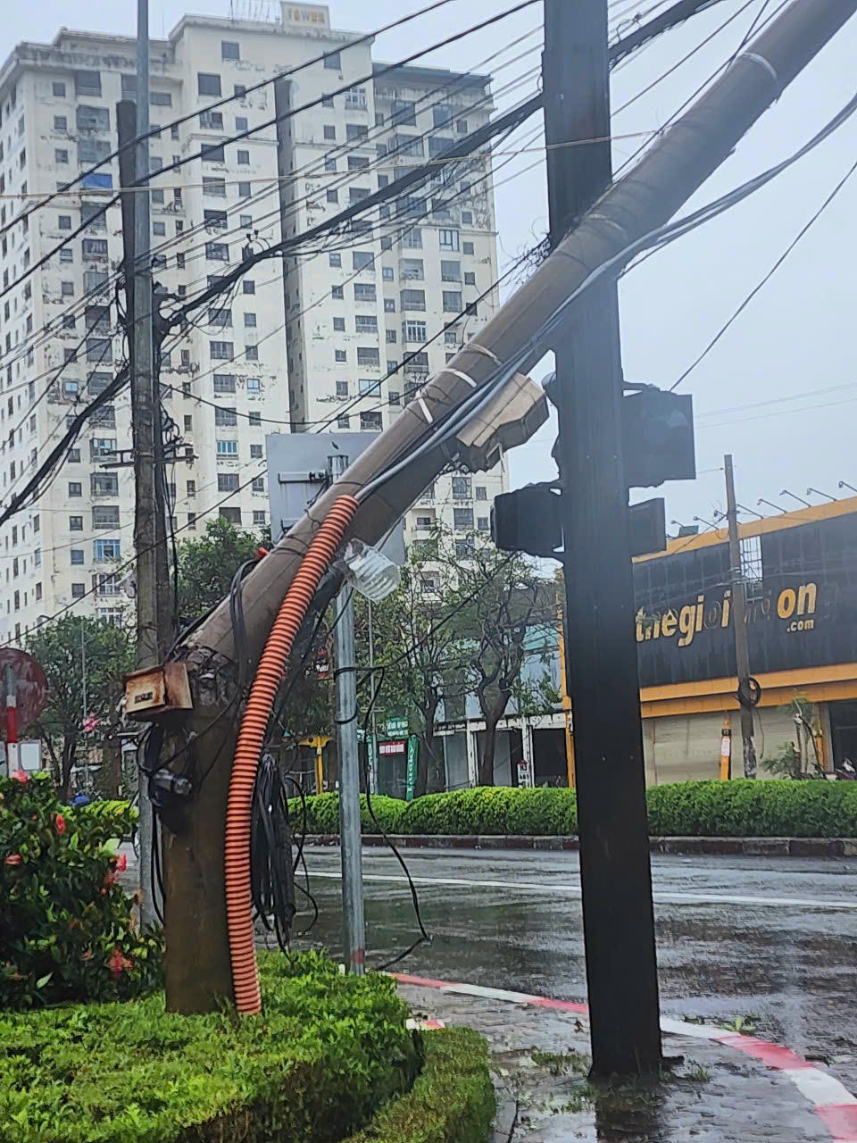 Cột điện đổ gãy sau bão tại ngã tư Ga Vinh