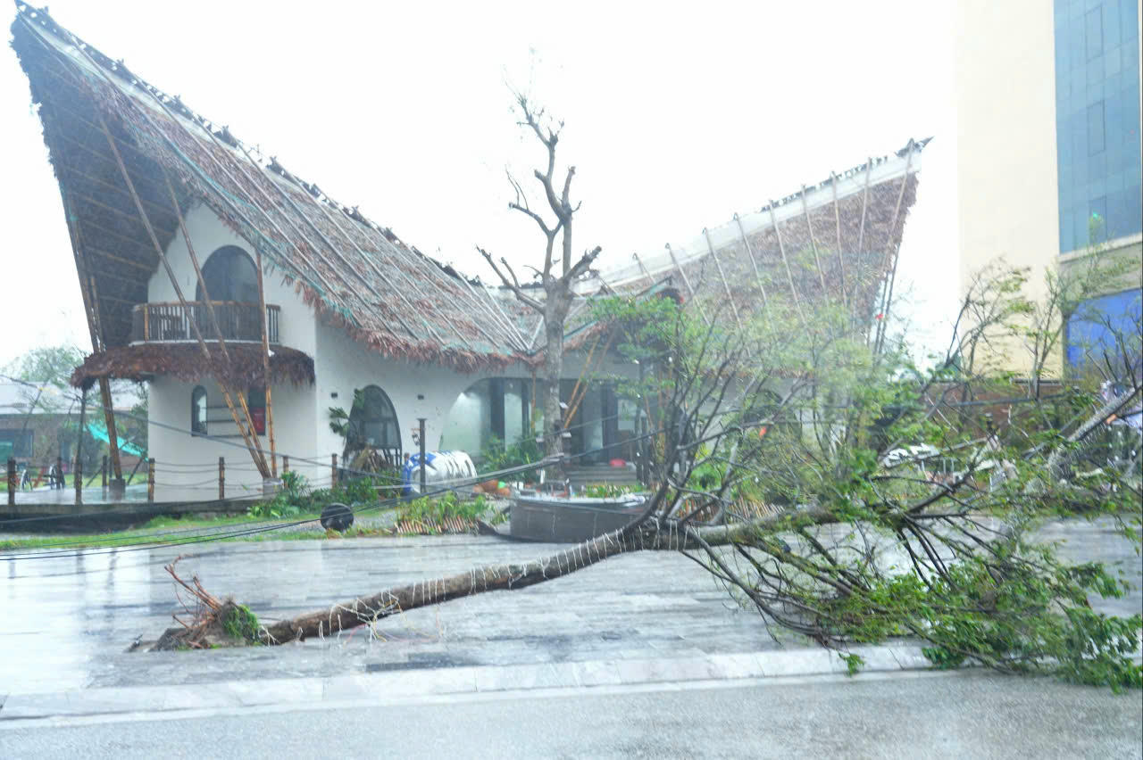 Những hình ảnh thiệt hại của cơn bão số 10 tại Nghệ An