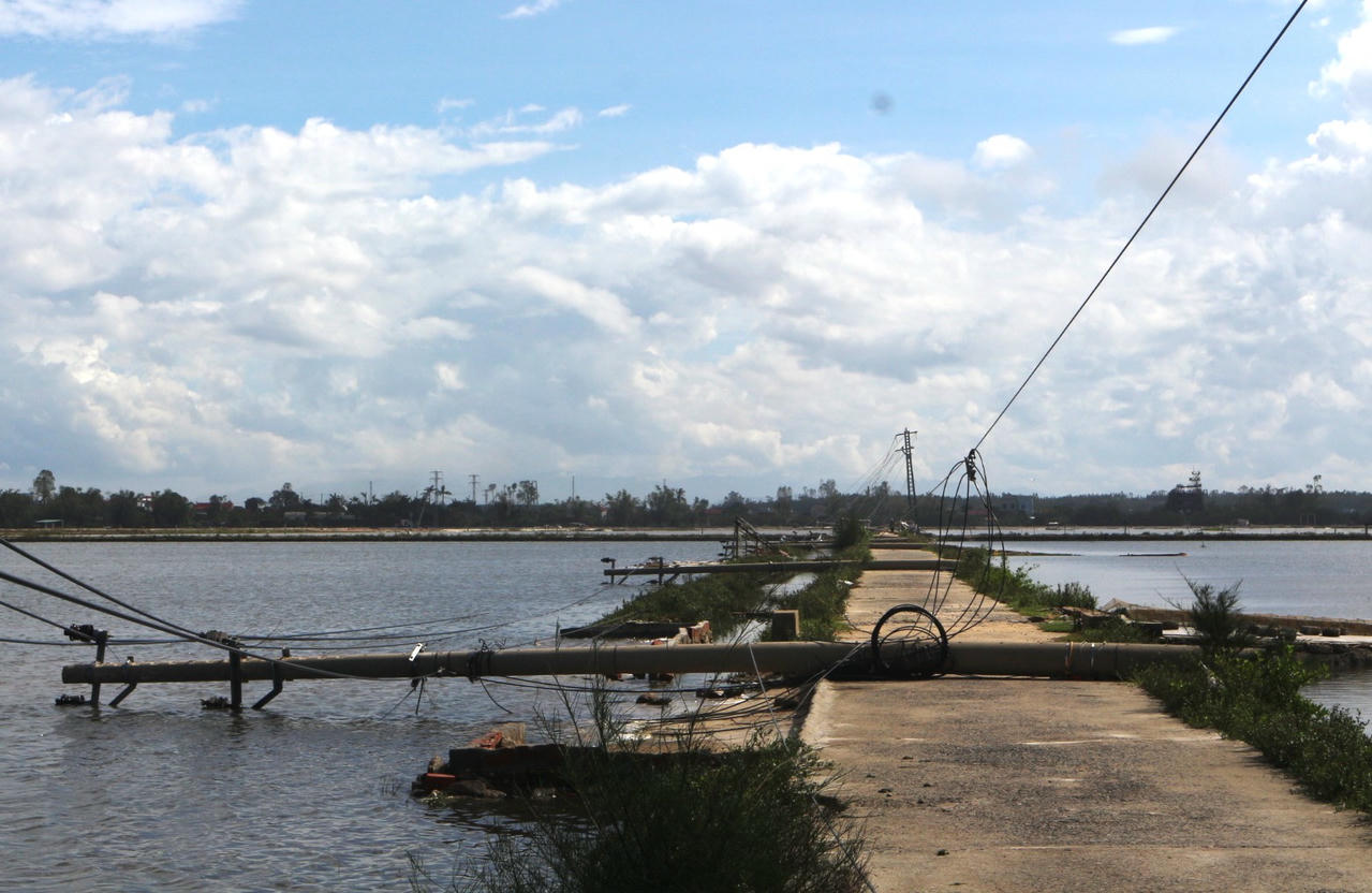 Hàng loạt cột điện ở xã Phú Trạch gãy đổ ngổn ngang sau bão số 10.