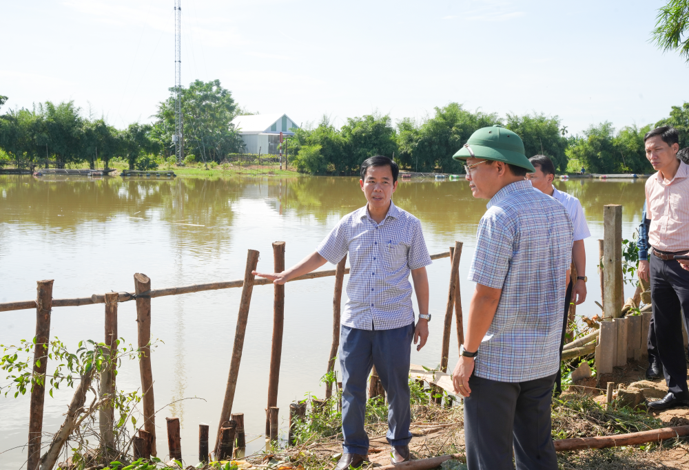Kiểm tra công tác gia cố điểm sạt lở bờ sông Bồ.