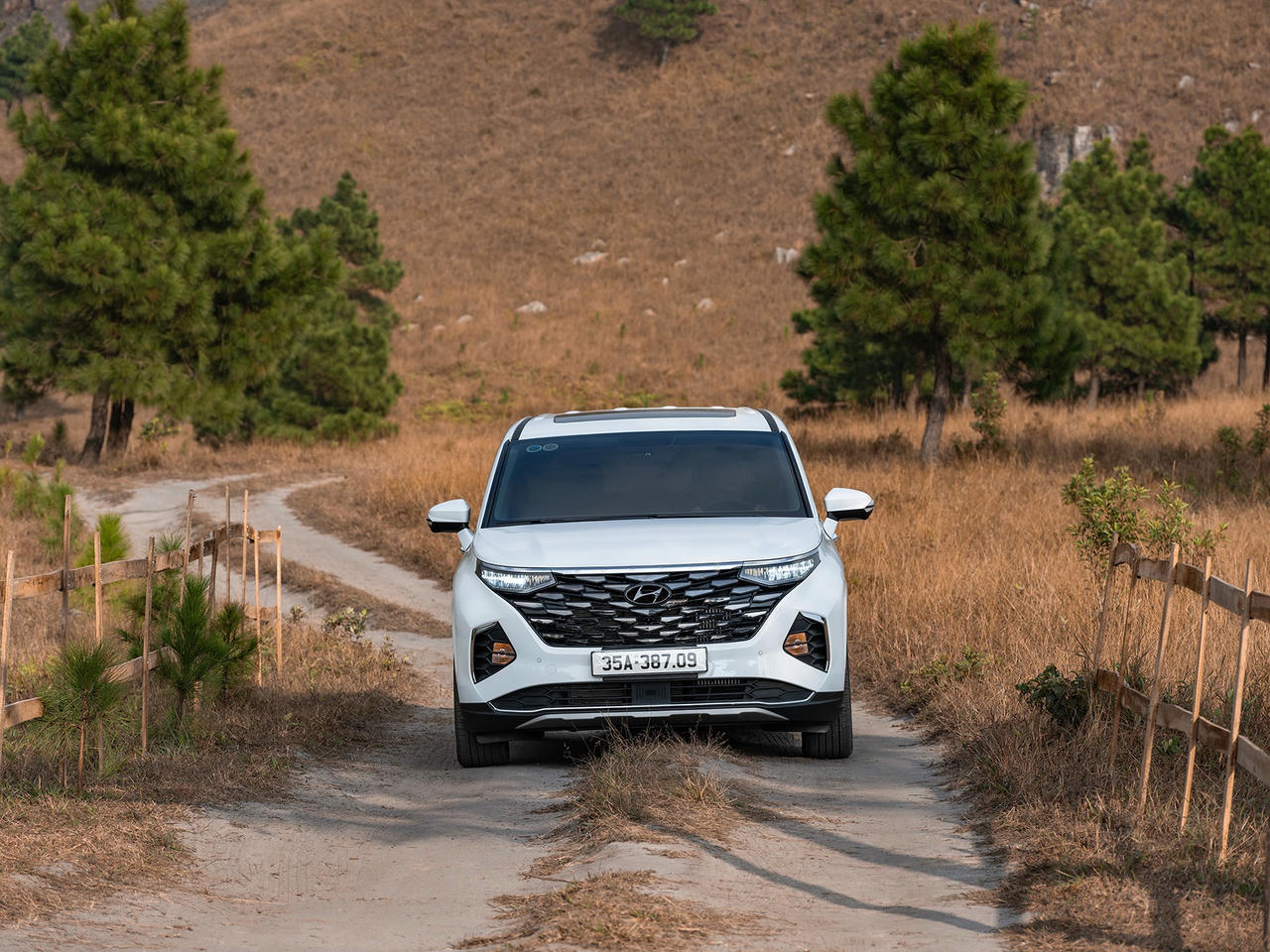 TC GROUP thông báo kết quả bán hàng Hyundai tháng 12/2024