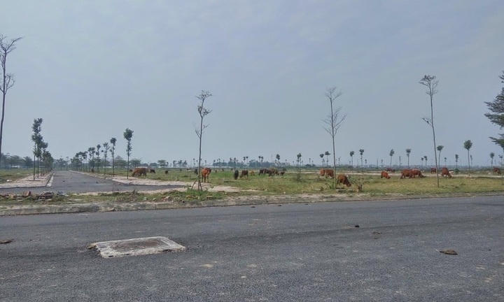 Hà Nội công khai 17 dự án chậm tiến độ sử dụng đất 