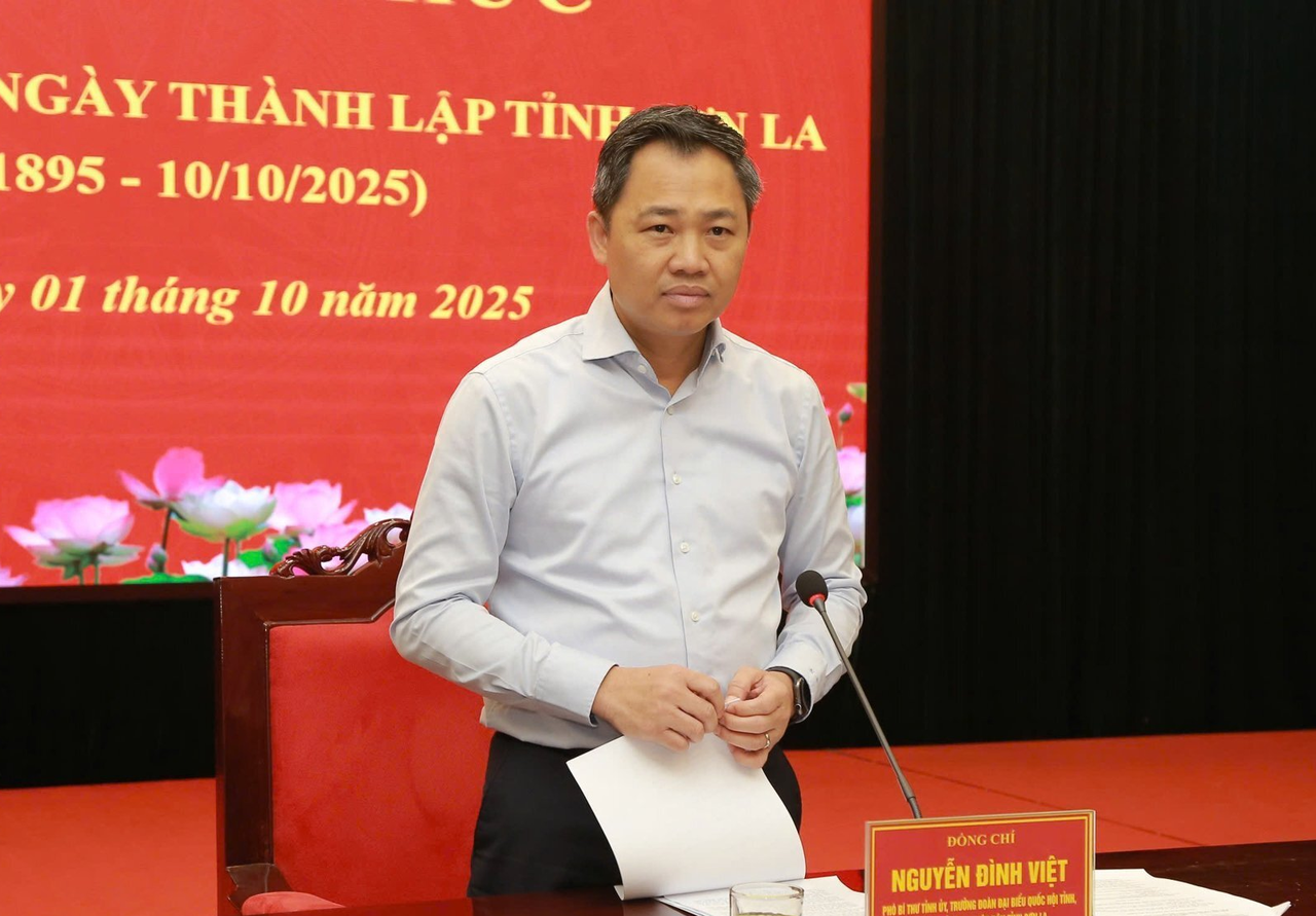 Ông Nguyễn Đình Việt, Chủ tịch UBND tỉnh phát biểu tại cuộc họp.