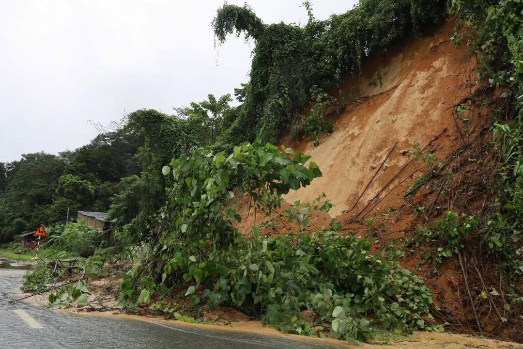 Các phòng, ban chuyên môn của phường
như: Phòng Kinh tế Hạ tầng & Đô thị; Phòng Văn hoá  Xã hội; Ban Quản lý dự án đầu tư xây dựng khu
vực Lào Cai - Cốc San; Công an phường; Ban Chỉ huy Quân sự phường; Đội Quản lý
trật tự đô thị; Đồn Biên phòng cửa khẩu Quốc tế Lào Cai... phối hợp chặt chẽ,
hướng dẫn nhân dân kỹ năng phòng tránh thiên tai, tuyên truyền tới nhân dân chủ
động gia cố nhà cửa, dự trữ nhu yếu phẩm, tích cực cùng lực lượng chức năng dọn
dẹp môi trường.