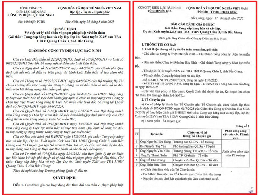 Công ty TNHH điện tự động Tuấn Long nhiều lần gian lận trong quá trình tham dự thầu