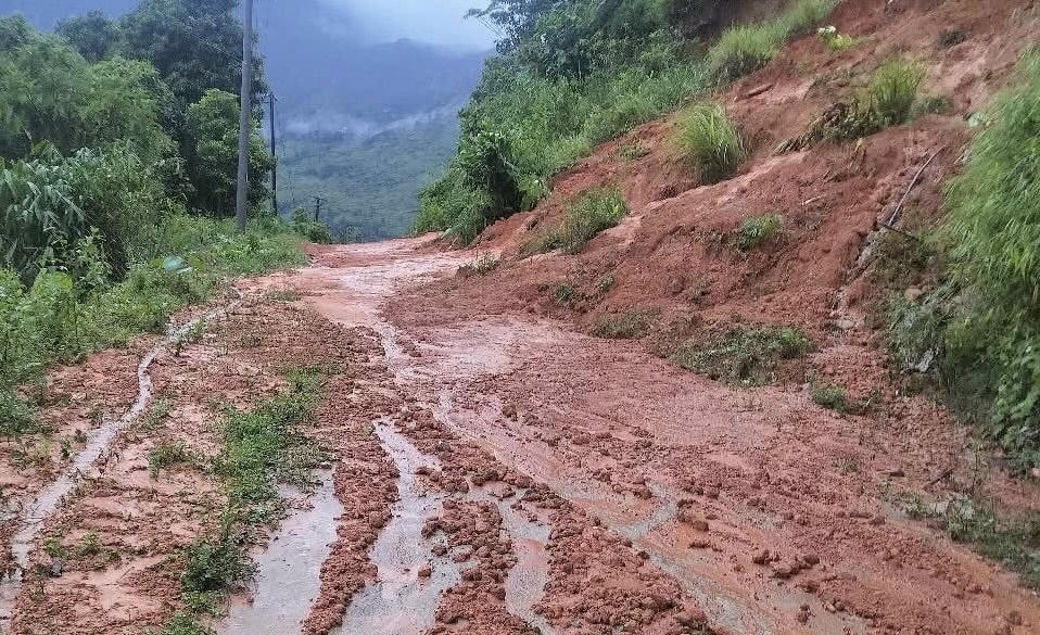              Ngoài ra,
hàng chục cây xanh bị đổ gãy trên nhiều tuyến đường, gây hư hỏng đường điện, cản
trở giao thông. Tổng thiệt hại ước tính khoảng 620 triệu đồng. Rất may, không
có thiệt hại về người.