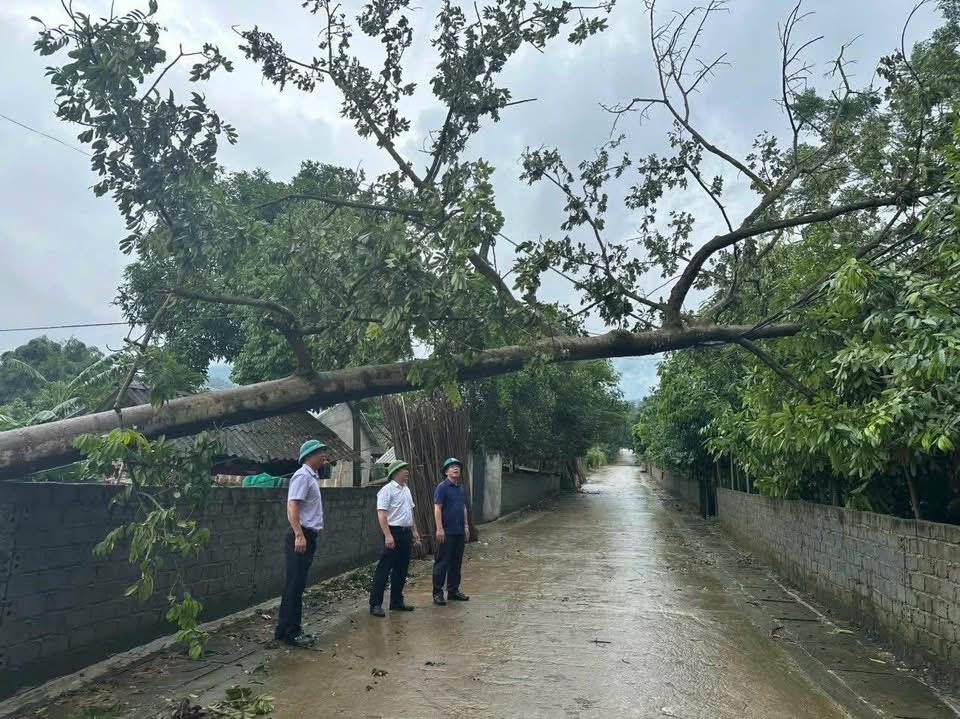 Tại xã Hợp Thành, trong ngày 1/10, lãnh đạo Đảng uỷ, HĐND,
UBND xã Hợp Thành đã trực tiếp đi kiểm tra, nắm bắt tình hình tại các điểm sạt
lở trên địa bàn.