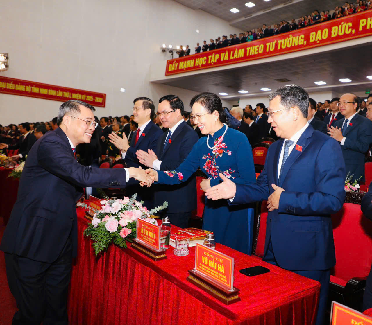 Uỷ viên Bộ Chính trị, Bí thư Trung ương Đảng, Trưởng Ban Tổ chức Trung ương Lê Minh Hưng dự đại hội.