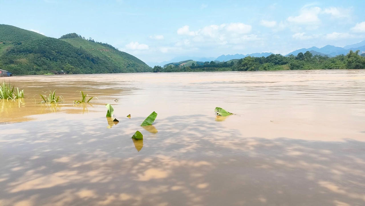 Mực nước sông Lô chảy qua tỉnh Phú Thọ vẫn đang ở mức cao