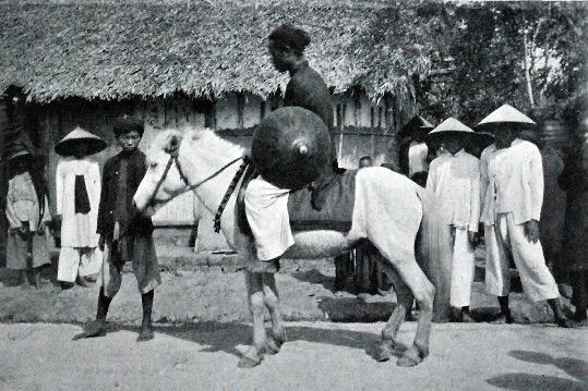 Dõi theo lá thư trên lưng ngựa