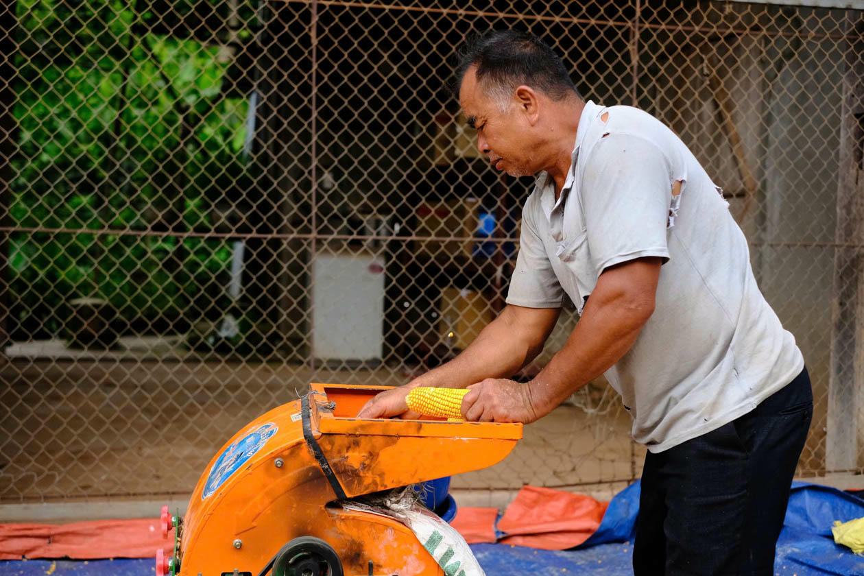 90% lao động cao tuổi làm việc trong khu vực phi chính thức, chủ yếu là tự làm nông - lâm - thủy sản, lao động thời vụ, không có hợp đồng lao động. (Ảnh minh họa - Nguồn: Hải Vân)