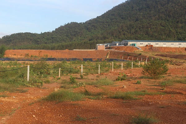 Vi phạm trong lĩnh vực bảo vệ môi trường, trang trại lợn ở Quảng Trị bị xử phạt 320 triệu đồng