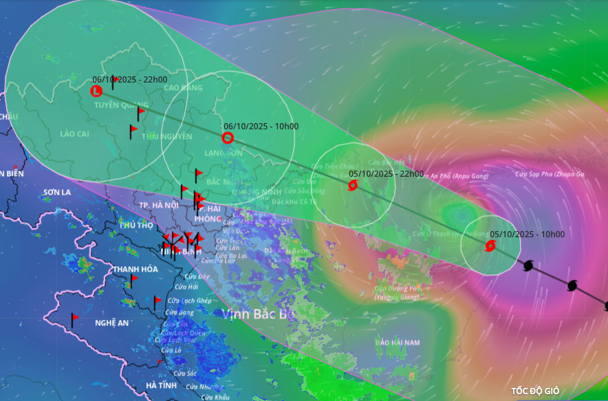 Hưng Yên: Chủ động ứng phó với bão số 11 đang tiến gần đất liền