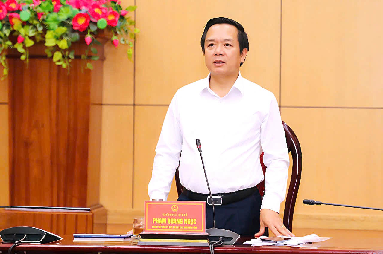 Chủ tịch UBND tỉnh Ninh Bình - ông Phạm Quang Ngọc phát biểu.