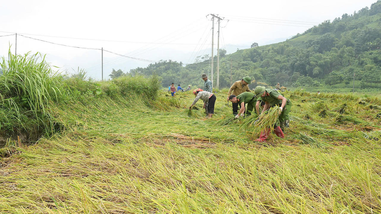 "Chạy đua" với bão, Lào Cai triển khai nhiều biện pháp giảm thiểu thiệt hại 