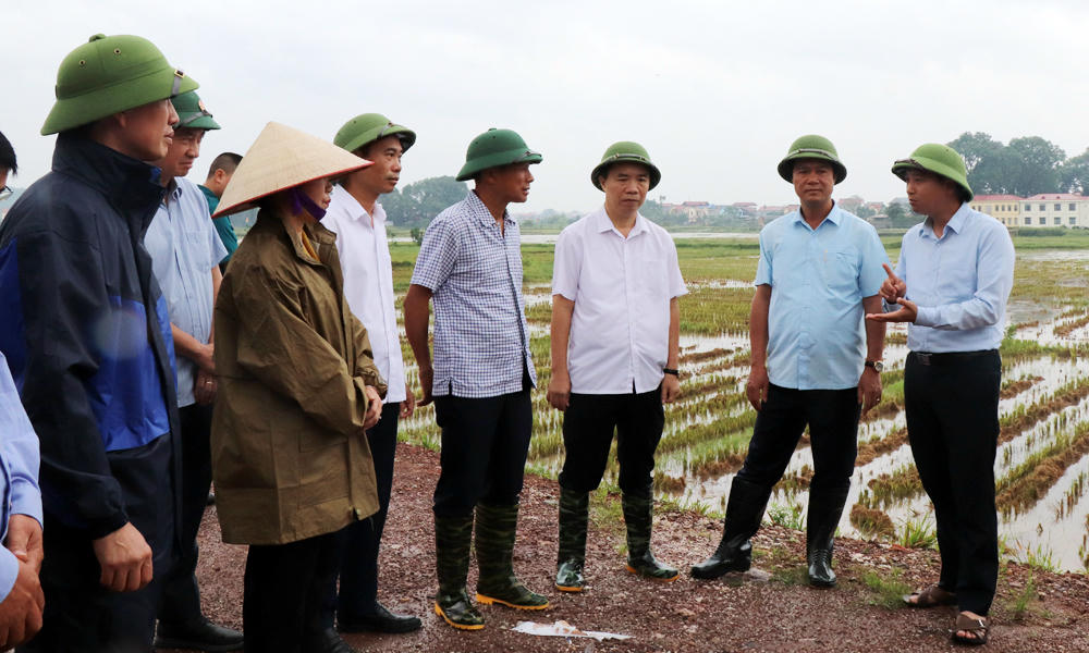 Bắc Ninh: Khẩn trương di dời dân cư trước nguy cơ lũ bão