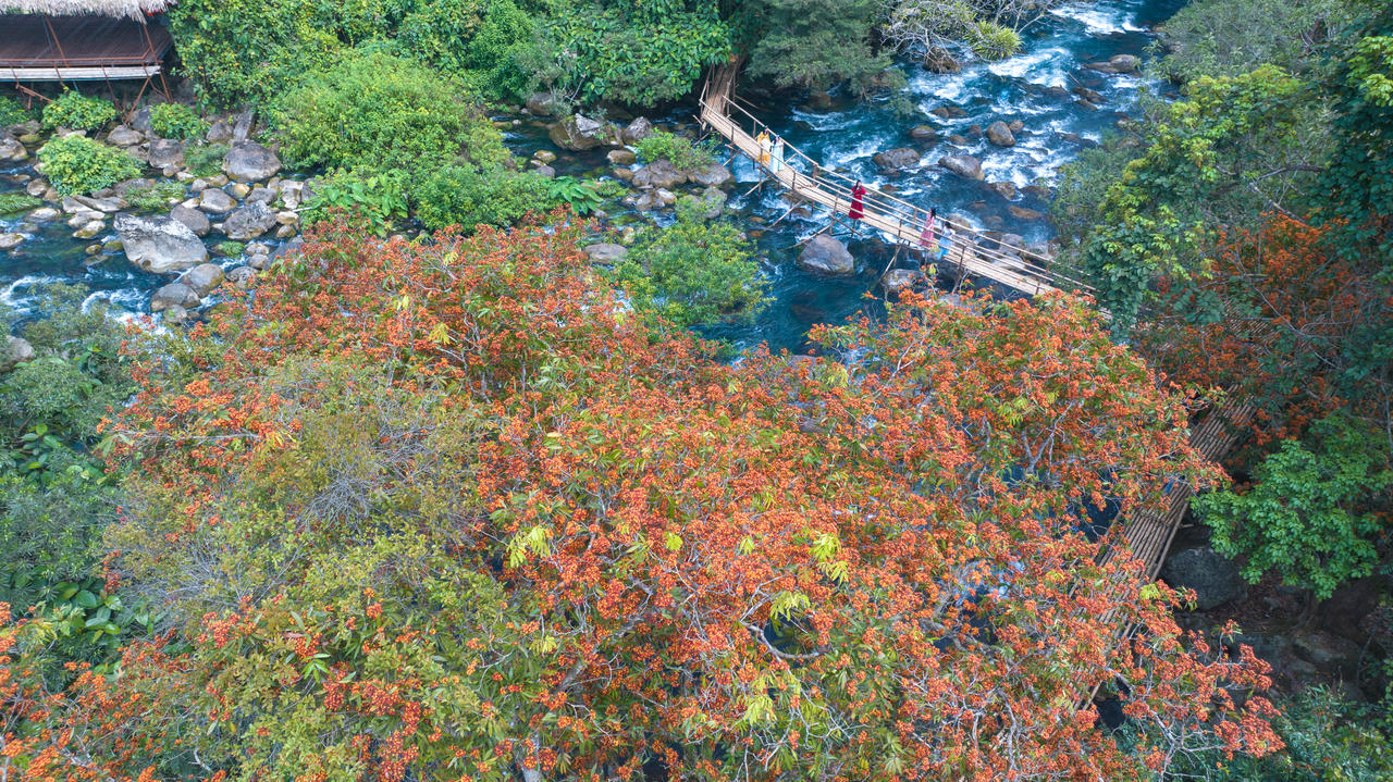 Suối Moọc như một bản giao hưởng của nước, đá và rừng. Giữa sắc xanh ngọc bích, du khách được thư giãn và tận hưởng trọn vẹn vẻ đẹp nguyên sơ của miền di sản.