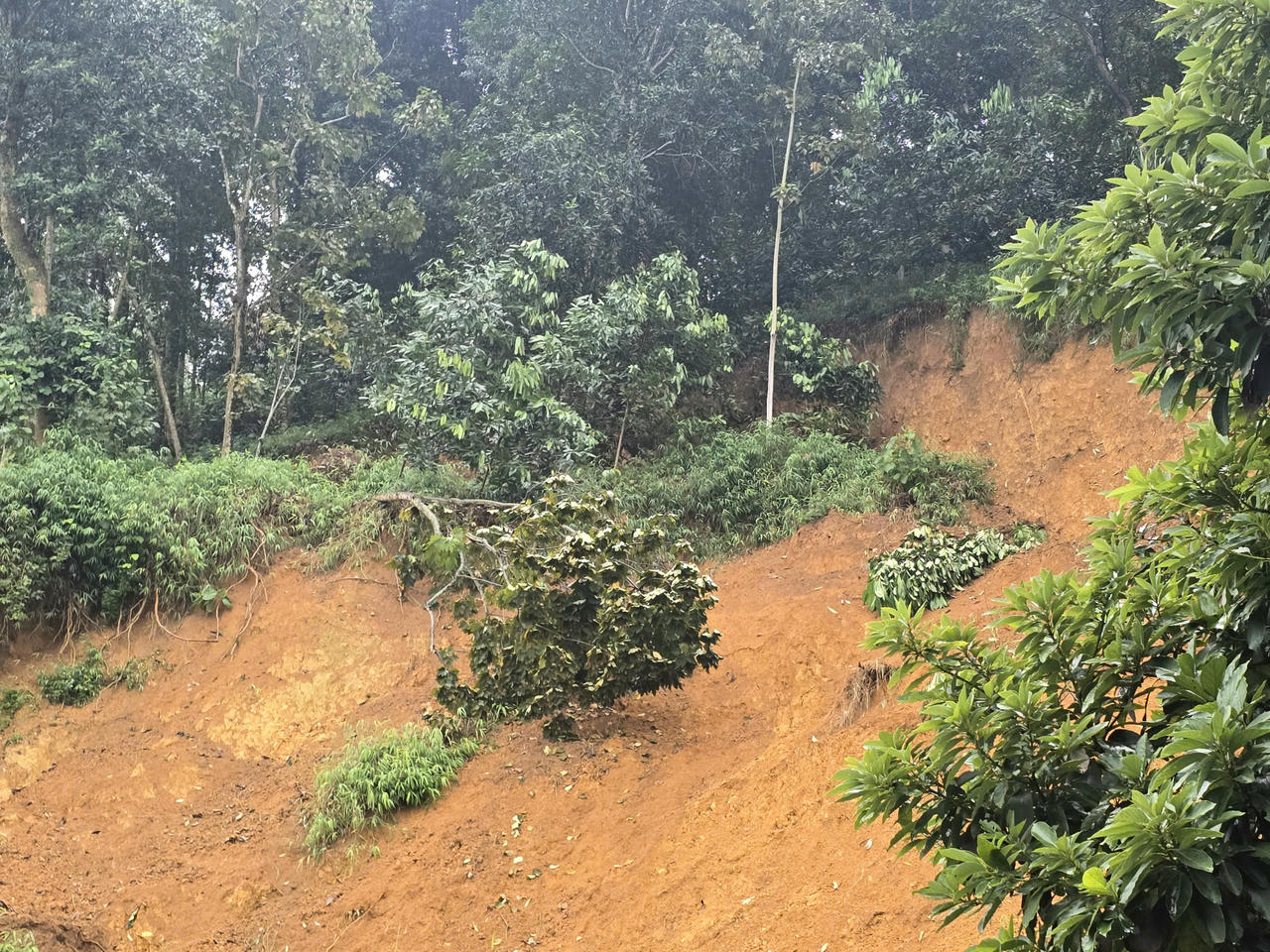 Người dân nơi đây mong muốn các cơ quan chức năng sớm có biện pháp xử lý dứt điểm, hỗ trợ kịp thời để bảo đảm an toàn tính mạng và ổn định cuộc sống.