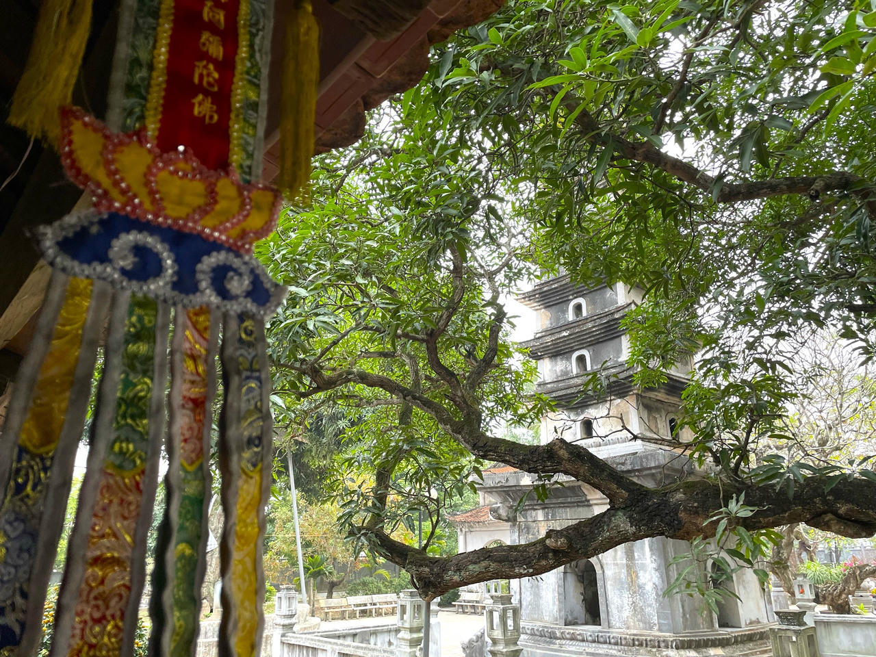 Phổ Minh có thể hiểu là “ánh sáng trí tuệ lan tỏa khắp nơi”, biểu tượng cho trí huệ Phật chiếu soi muôn loài, phá tan bóng tối vô minh.
Trong tư tưởng Phật giáo, “minh” thường đối lập với “vô minh”. Vô minh là gốc rễ của khổ đau, còn “minh” chính là sự giác ngộ. Khi gắn với chữ “phổ”, nó thể hiện sự giác ngộ ấy không chỉ dành cho cá nhân mà phổ độ khắp chúng sinh.