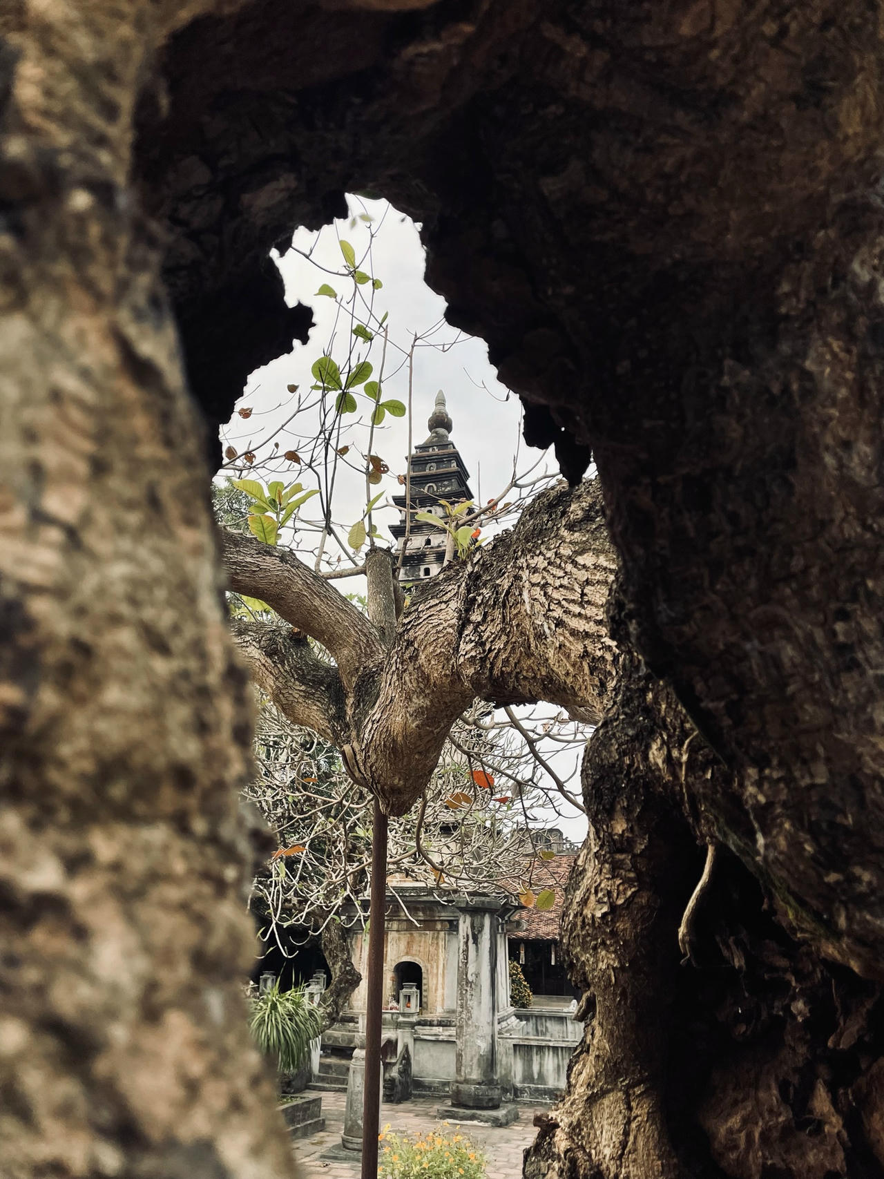 Phổ Minh là một ngôi tháp tiêu biểu của thiền phái Trúc Lâm. Đế tháp được làm toàn bộ bằng đá. Thân tháp có 14 tầng. Tầng 1 bằng đá xanh. Trên tầng 1 có một cấp đá đỡ tầng 2.Từ tầng 2 trở lên được xây bằng gạch, trát vữa. Các trụ góc và cửa vòm bằng đá, cửa tháp xây kín. Càng lên cao, các tầng thu nhỏ dần.
Đỉnh tháp là một khối đá tạo dáng hình bông sen.