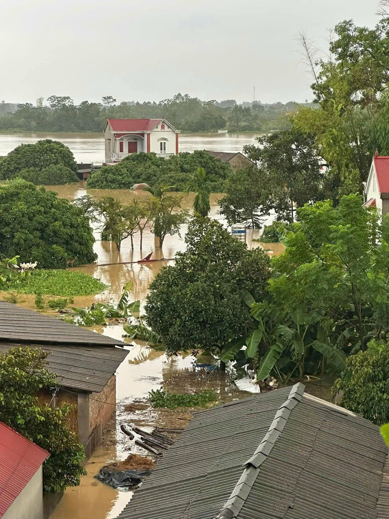 Nước tràn đê bối ở Bắc Ninh, hàng trăm hộ dân phải di dời khẩn cấp trong đêm