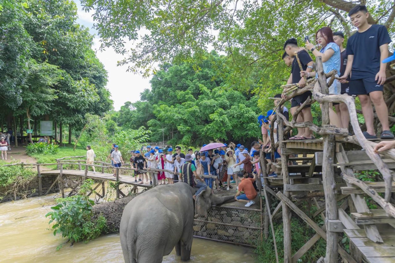 Du lịch Đắk Lắk tăng trưởng ấn tượng