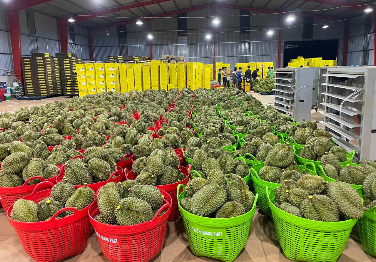 Kinh tế Đắk Lắk tăng trưởng ấn tượng