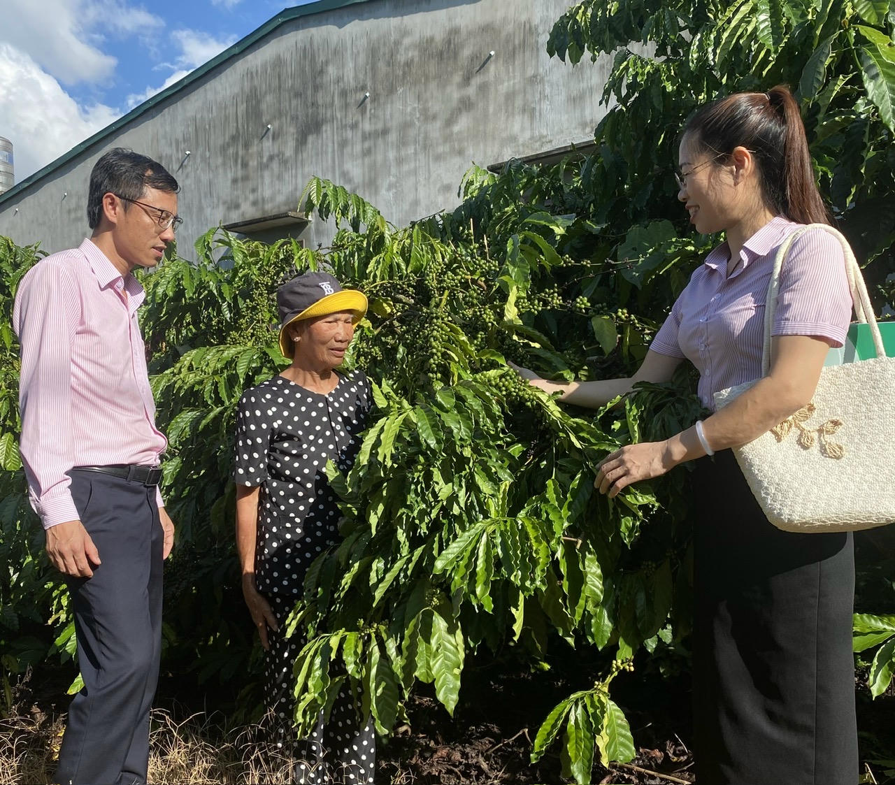 Quảng Ngãi thực hiện sáng tạo, hiệu quả Chiến lược phát triển Ngân hàng Chính sách xã hội