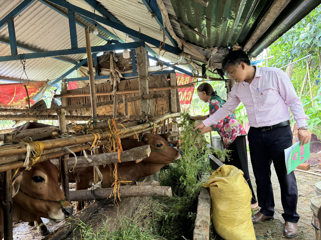 Quảng Ngãi thực hiện sáng tạo, hiệu quả Chiến lược phát triển Ngân hàng Chính sách xã hội