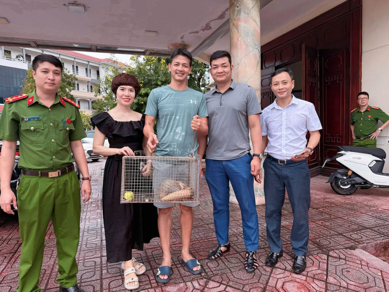 Người dân phát hiện, giao nộp cá thể Tê tê quý hiếm