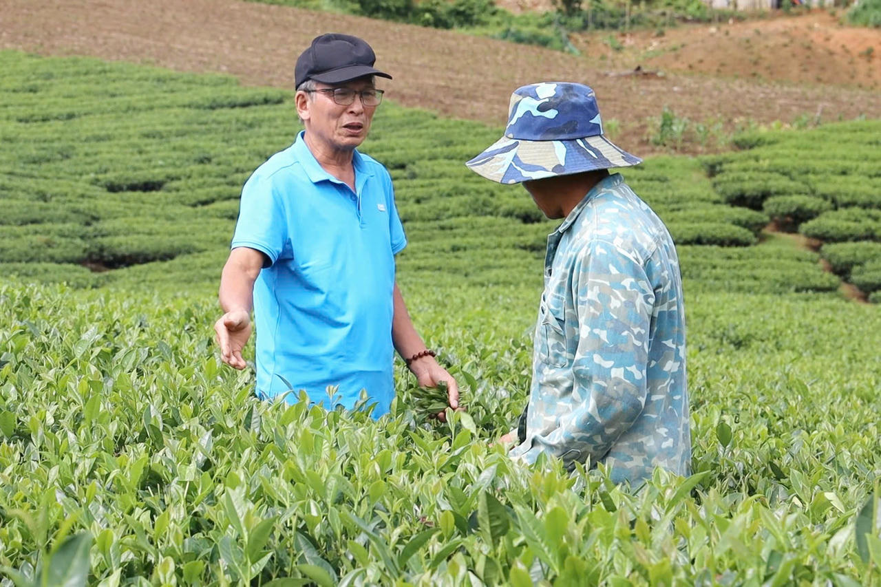 Sơn La: Nỗ lực xóa đói giảm nghèo ở Phiêng Cằm  
