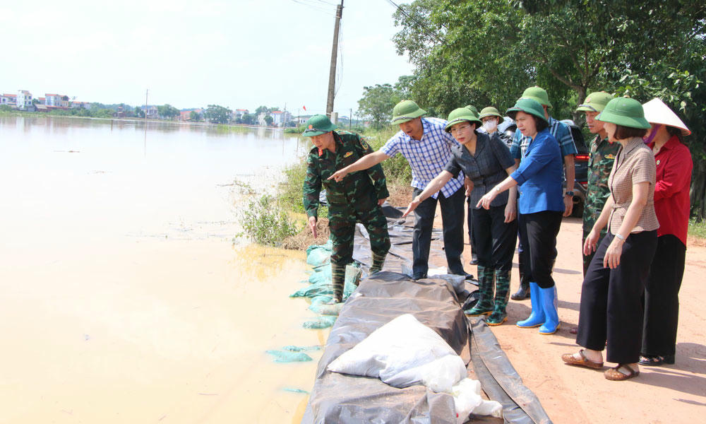 Đoàn công tác kiểm tra vị trí xảy ra sự cố trên tuyến đê bối tại thôn Cổng Phên, xã Mỹ Thái.

