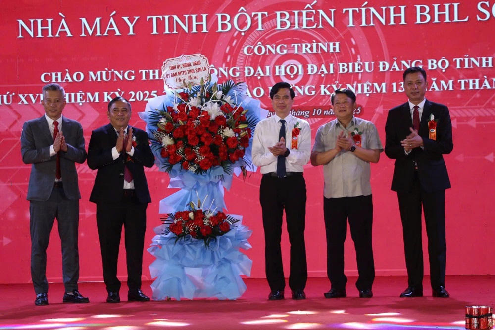 Sơn La phát triển trồng sắn gắn với chế biến