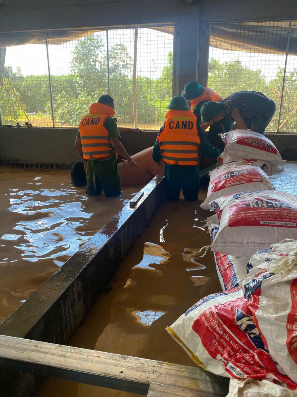 Cán bộ chiến sĩ Quân đội, Công an xã Kép (Bắc Ninh) dốc toàn lực hỗ trợ nhân dân khắc phục mưa lũ  