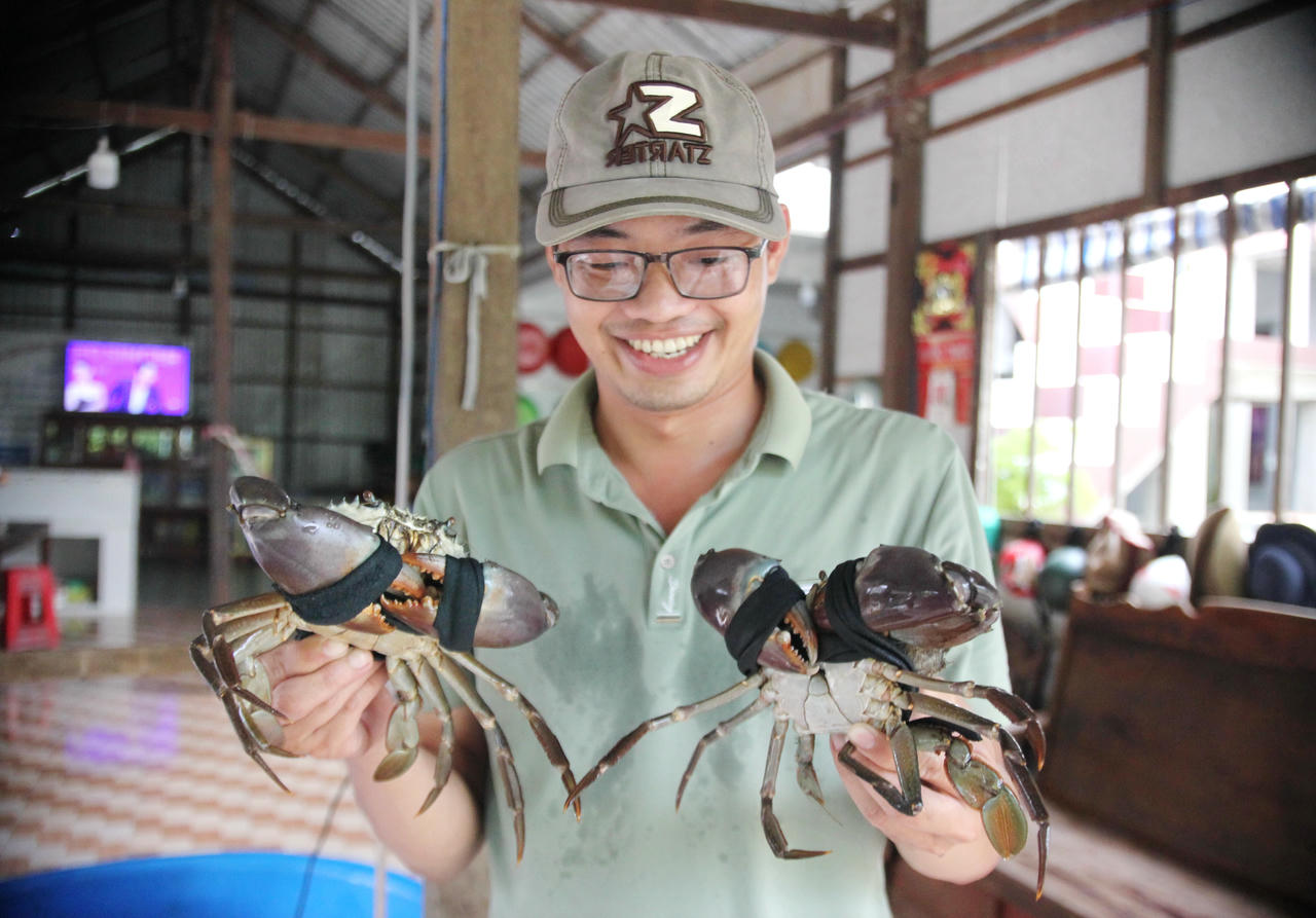 Xây dựng thương hiệu “Cua Cà Mau” – Nâng tầm giá trị đặc sản vùng cực Nam Tổ quốc.