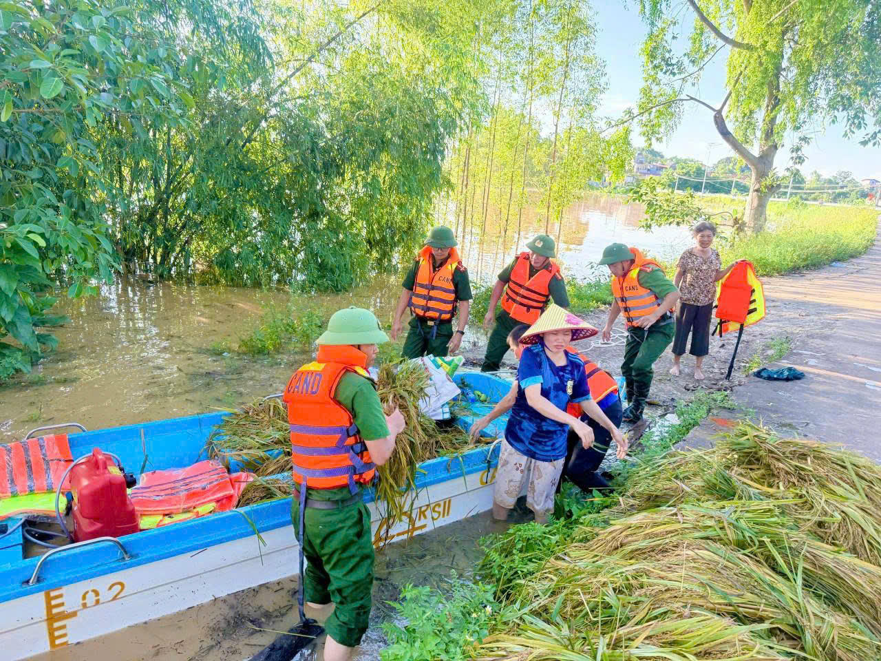 Công an xã Mỹ Thái hỗ trợ người dân thu hoạch lúa.