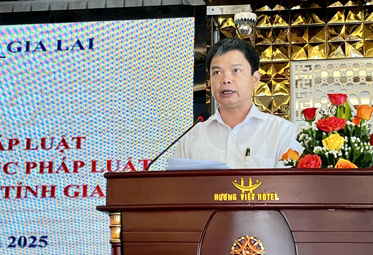 Phó Chủ tịch UBND tỉnh Nguyễn Hữu Quế phát biểu khai mạc Hội nghị.