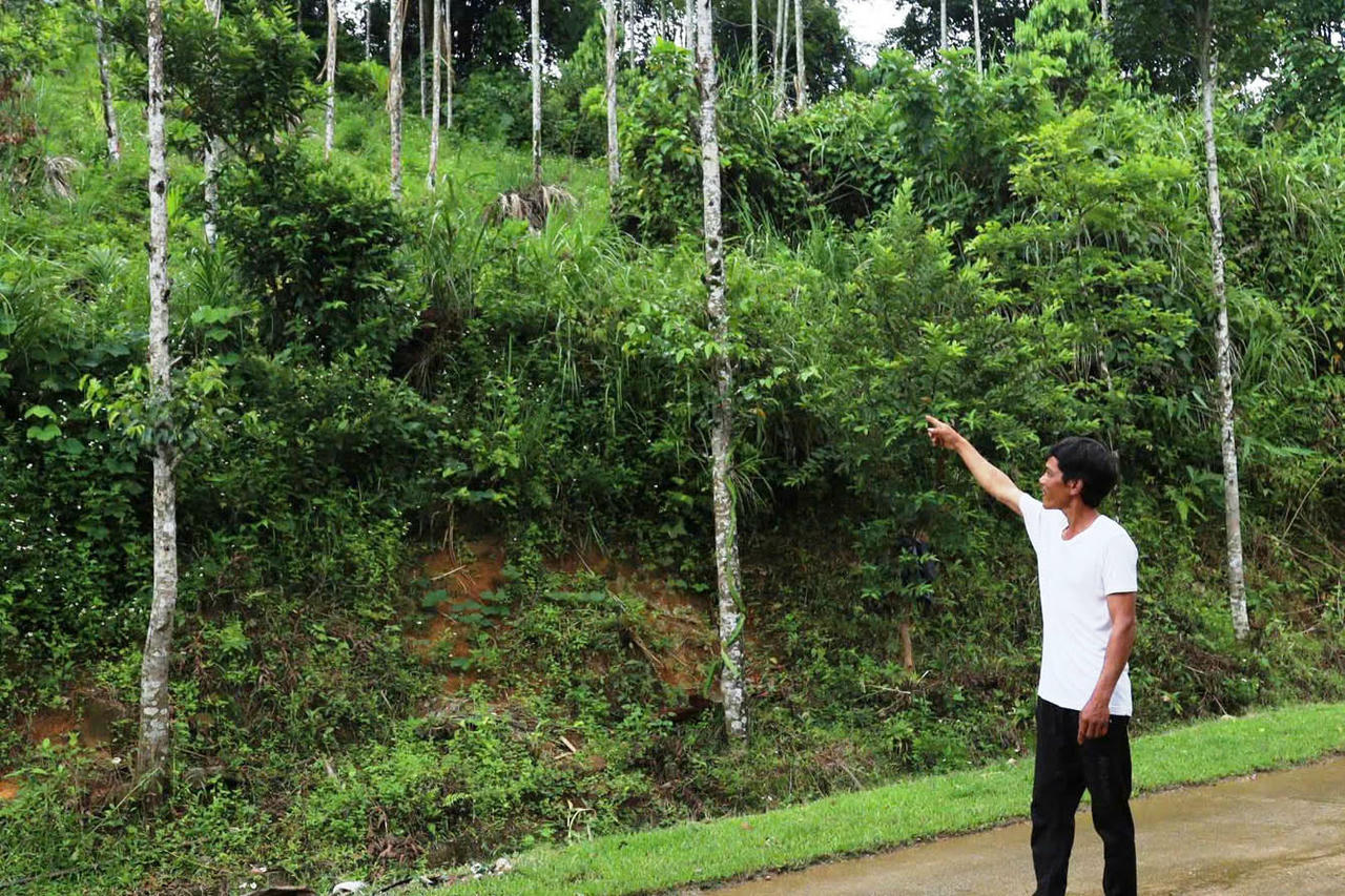Người dân khu dân cư Hà Tăng luôn trong tình trạng bất an bởi nguy cơ sạt lở mỗi mùa mưa bão về. (Ảnh trong bài: PV)