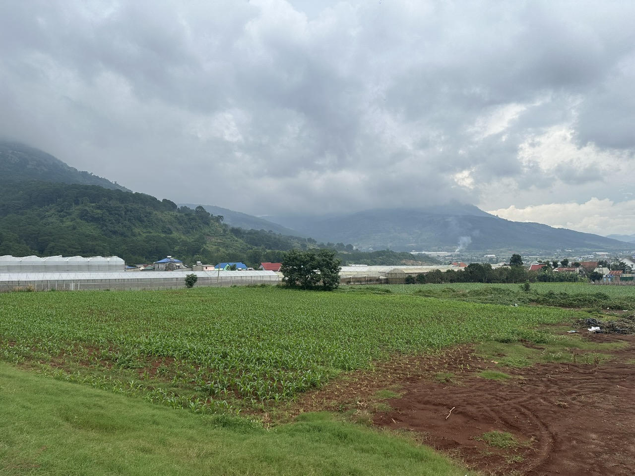 Thổ nhưỡng khu vực tái định canh được đánh giá phì nhiêu, đất đai bằng phẳng, giao thông thuận lợi.