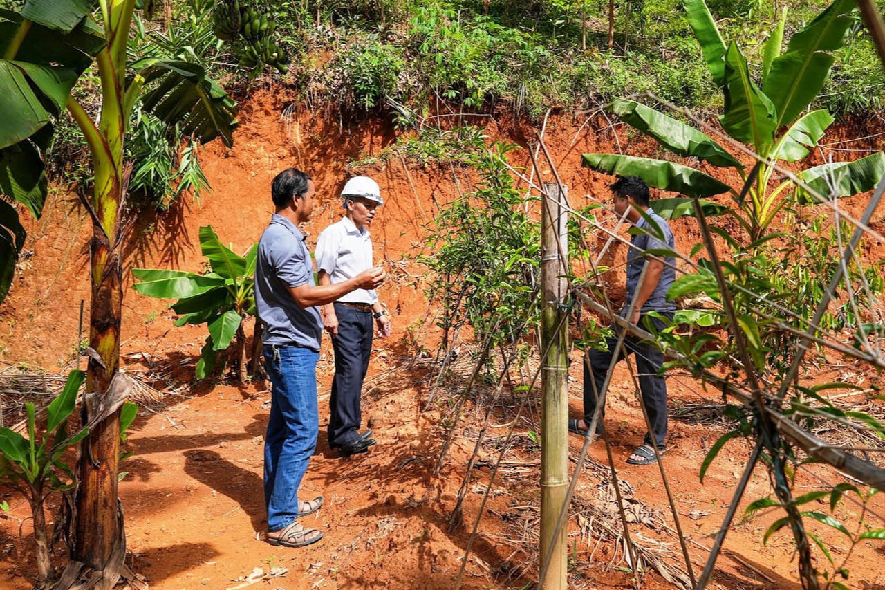 Đa dạng sinh kế, sức bật mới giúp đồng bào vùng cao miền Trung thoát nghèo