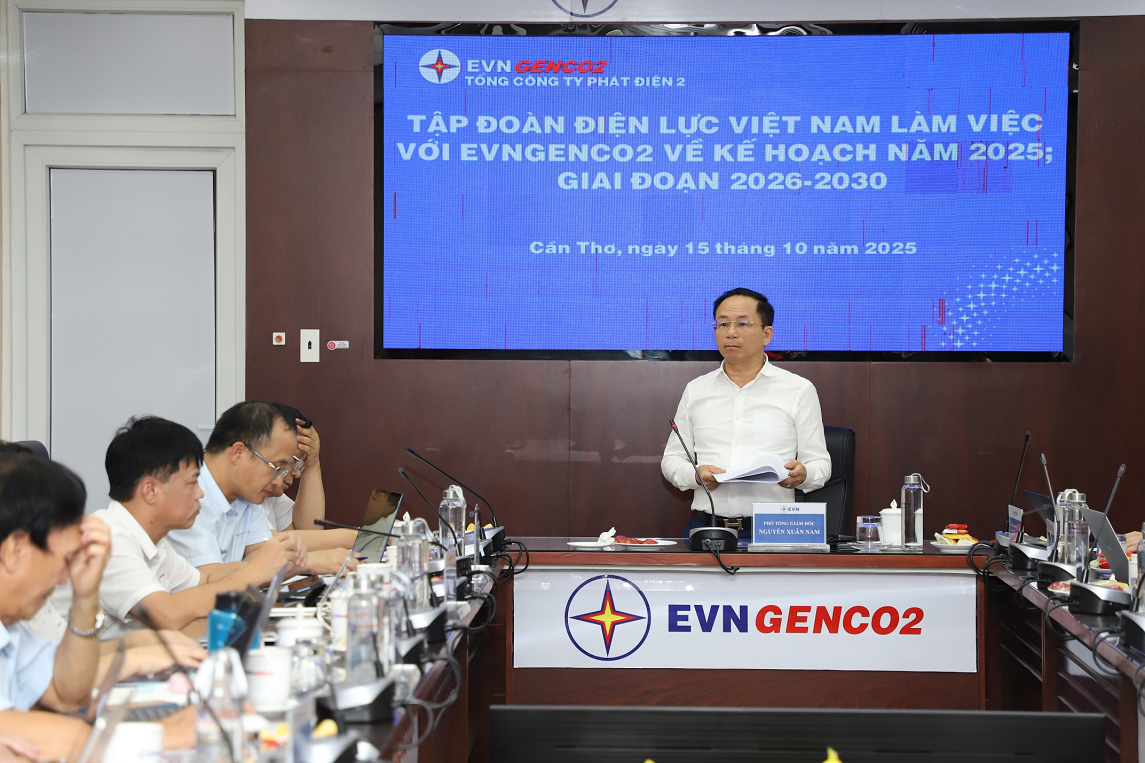 Phó TGĐ EVN&nbsp;Nguyễn Xuân Nam phát biểu chỉ đạo tại buổi làm việc.