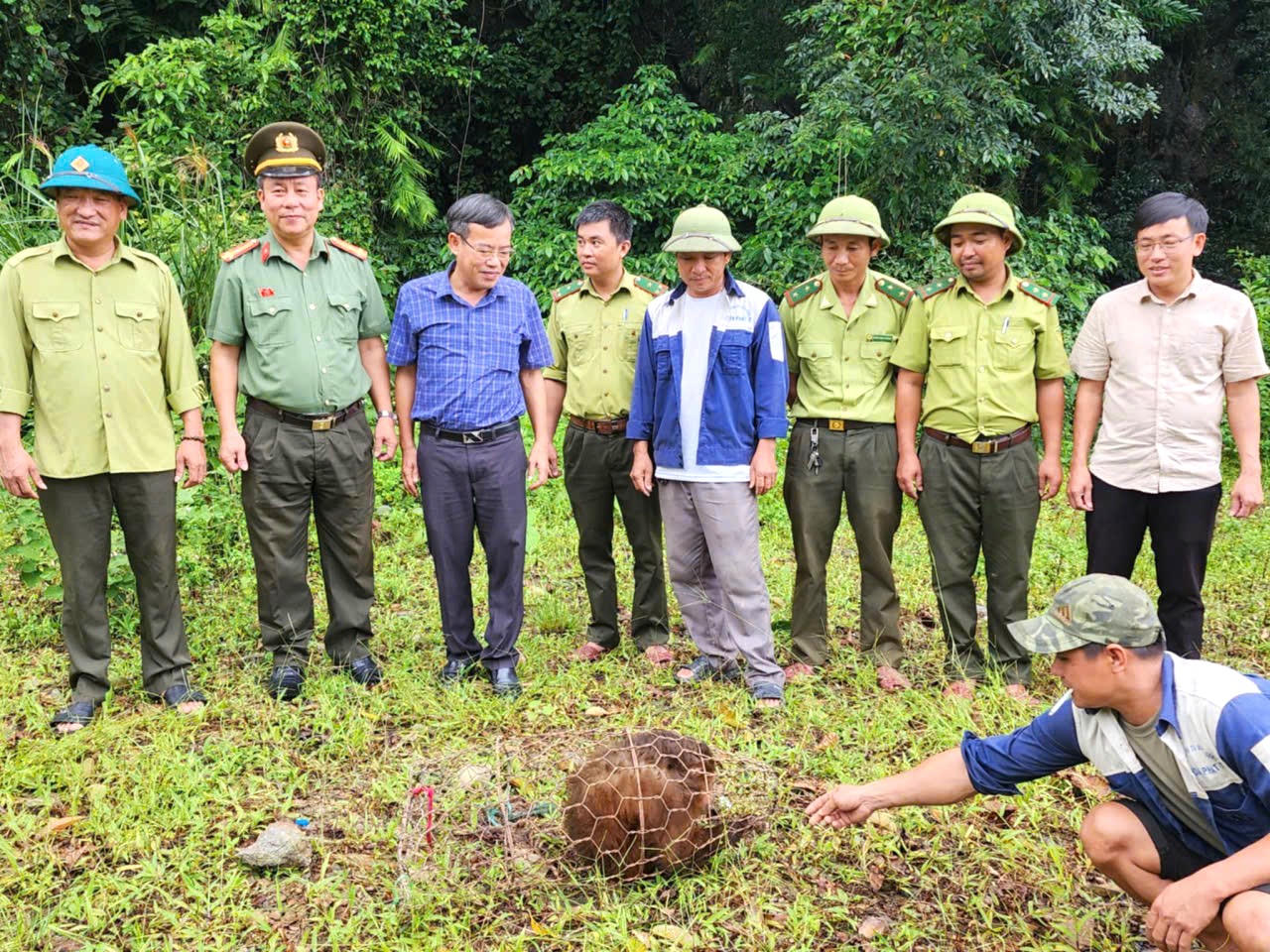 Cá thể khỉ mặt đỏ, loài động vật quý hiếm thuộc nhóm IIB, xuất hiện tại xã Trường Sơn.