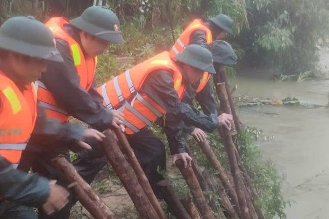 Các lực lượng đã sử dụng hàng trăm cọc tre để gia cố bờ sông.