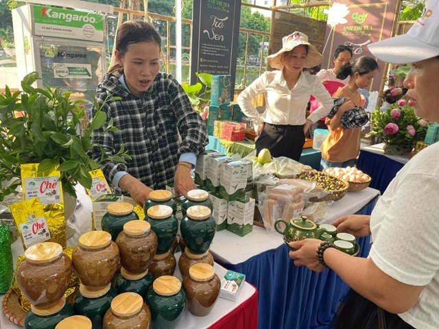 Sản phẩm chè Phú Yên – sản phẩm OCOP đặc trưng của địa phương.